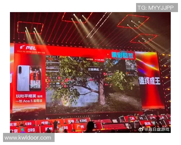 和平精英战术JDG的控制体系解析与实战应用探讨实时新闻